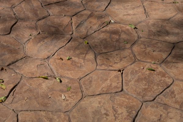 Concrete Texturing in Oroville