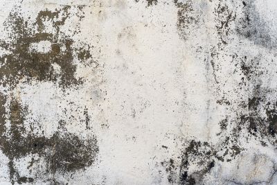 Concrete Texturing